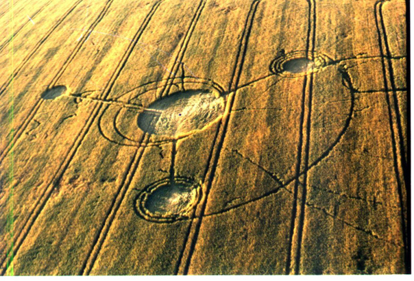 Картинка из инета. Вот так выглядели поля у многих фермеров, чаще в Великобритании.