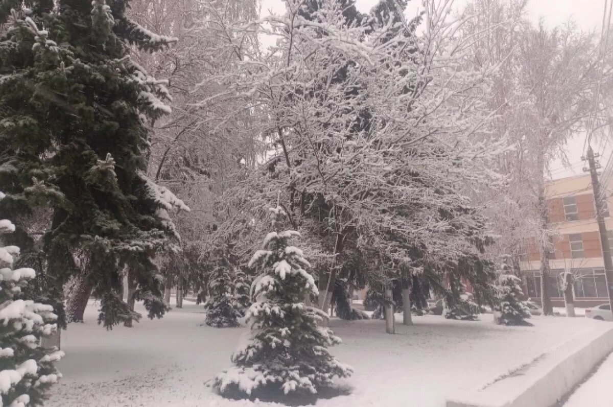    Артёмова: погода в феврале будет мало отличаться от январской