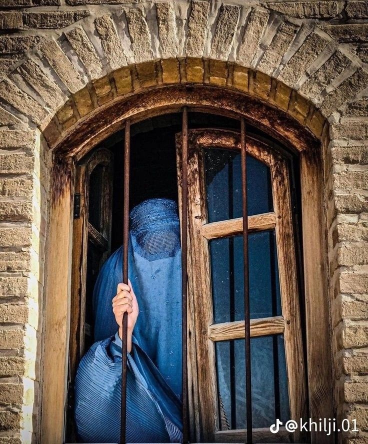 Фото с интернета 