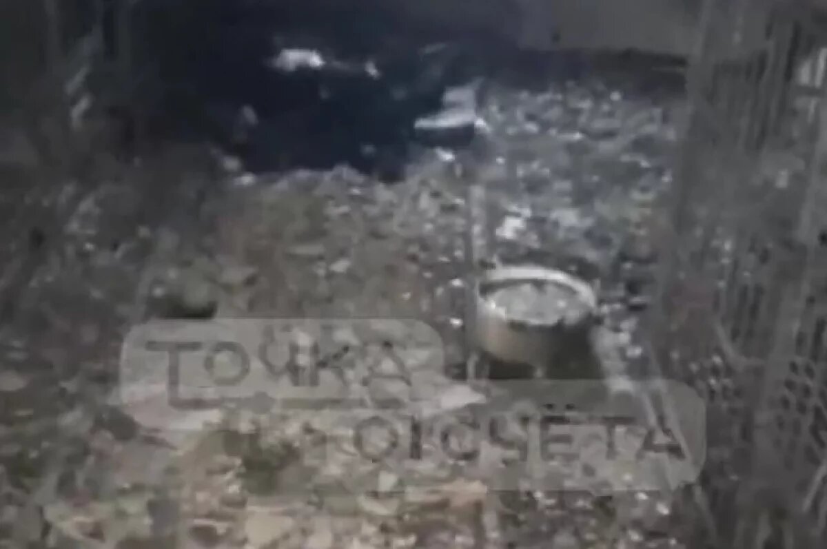    Собаки заживо сгорели в приюте на Сахалине