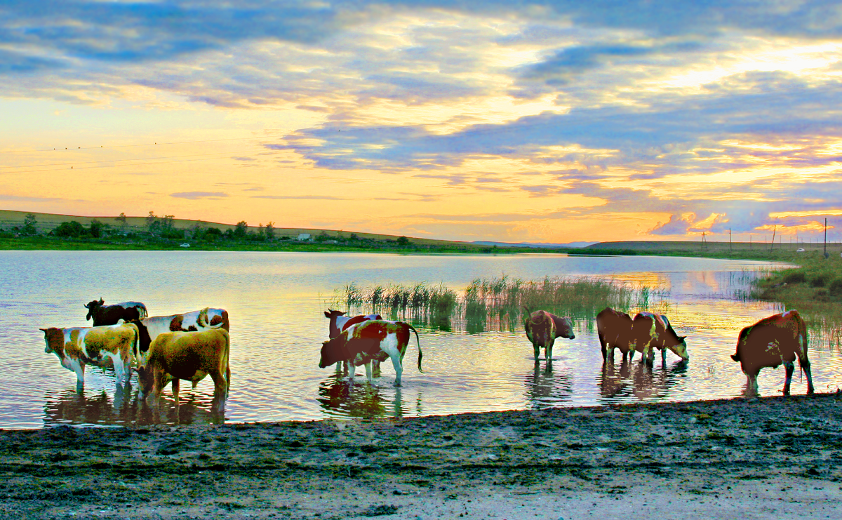 Фотография, стихотворение Василия Глуцкого