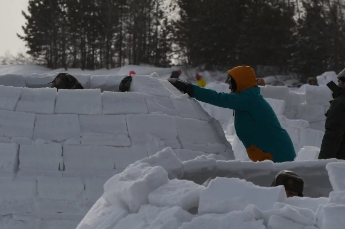    Фестиваль «Иглу - город эскимосов» в Новосибирске пройдёт 15 февраля