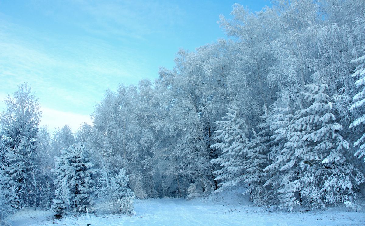 Фотография, стихотворение Василия Глуцкого