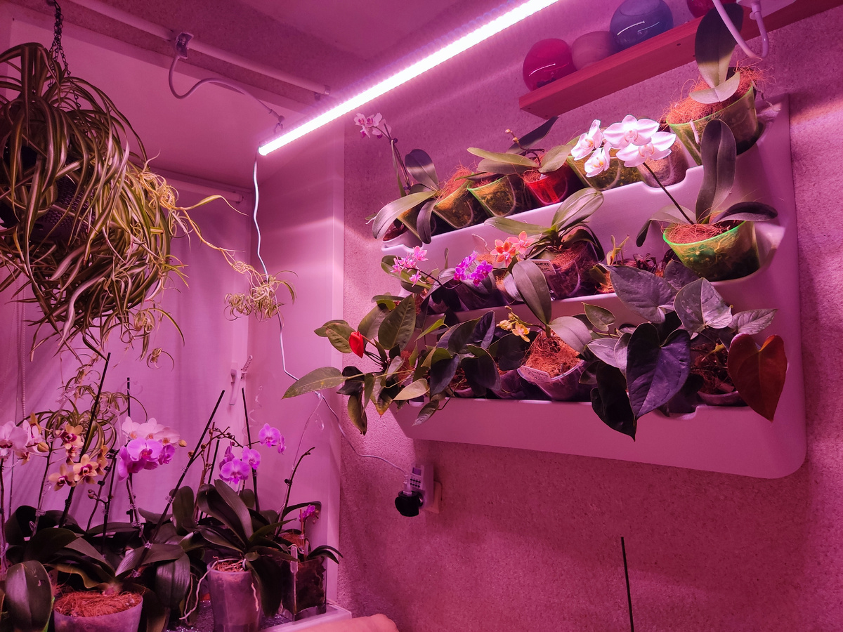 Такой свет даёт лампа над модулем. Но это на фото. В реале всё намного лучше. За окном темно. Ранее утро, собираюсь на работу. Завтракаю в райском саду .