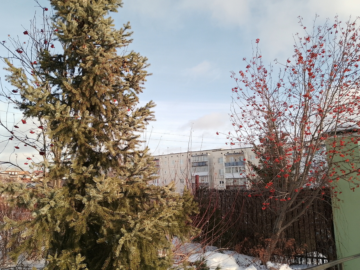 12 января. Красота и солнце.