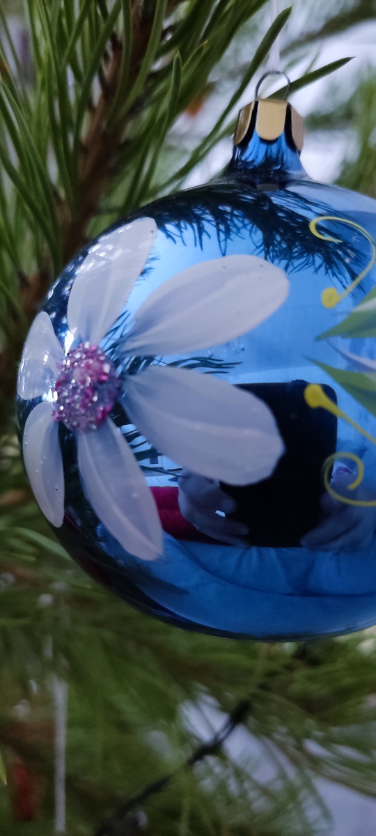 Сосна нарядная. 