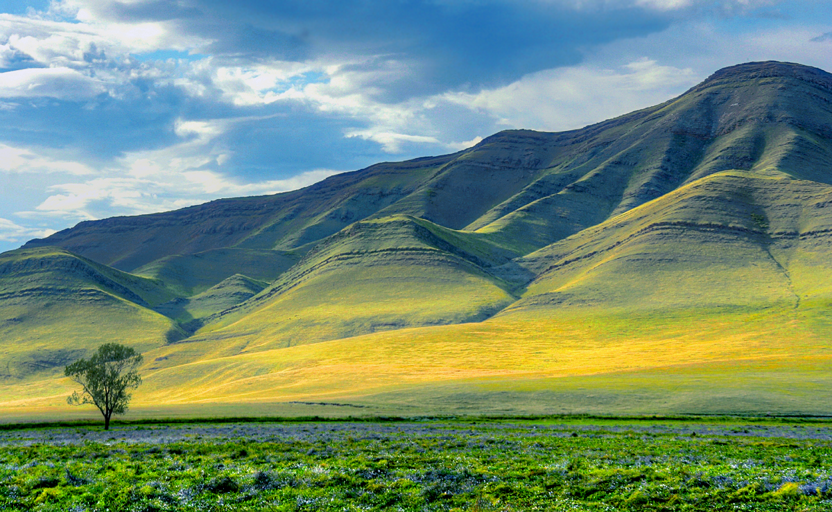 Фотография, стихотворение Василия Глуцкого