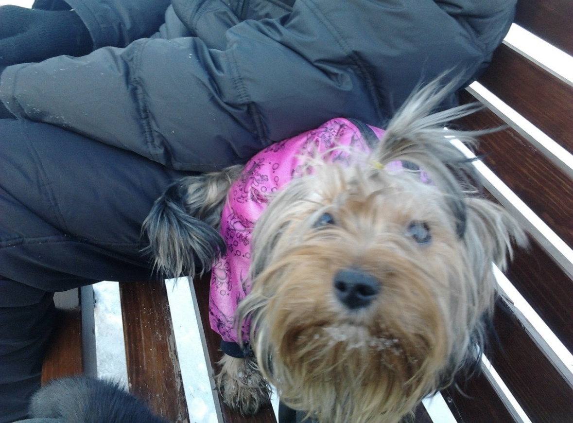 Стейси 2012-2024 / все фото из архива автора