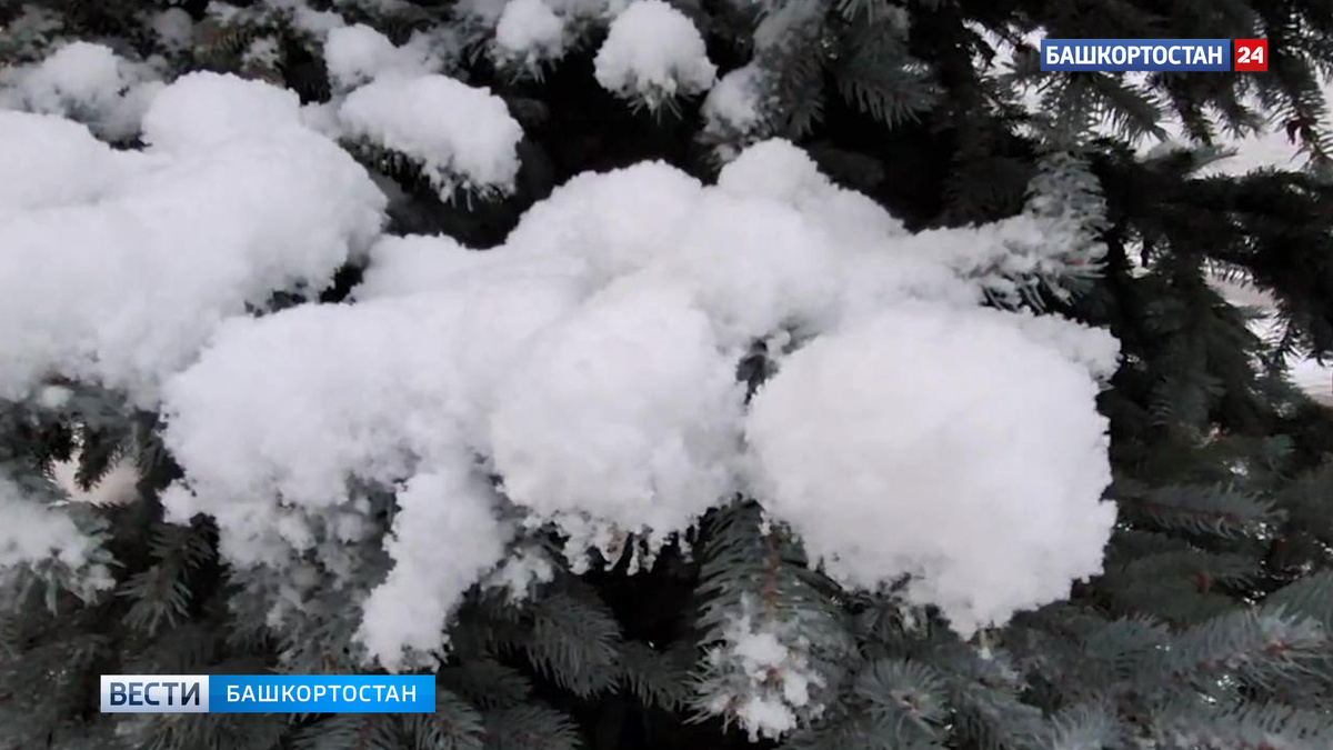    В Башкирии в ближайшие дни похолодает до -22