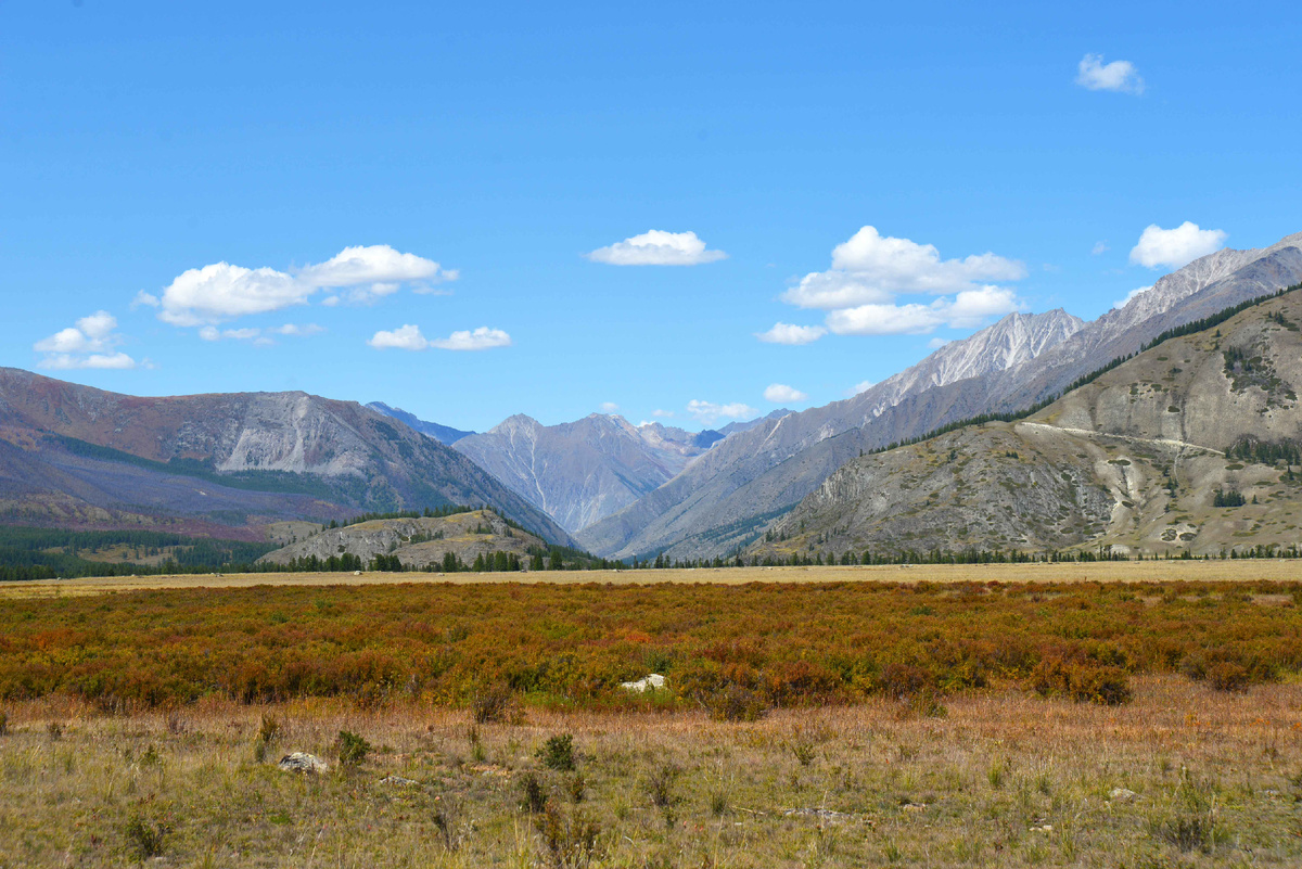 Фото Ольга Шадрина Долина Аргута