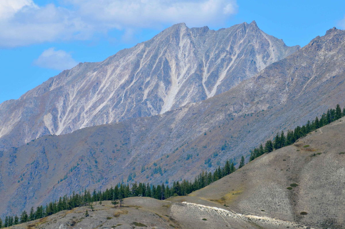 Фото Ольга Шадрина