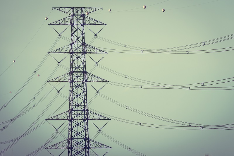    Фото: mrsiraphol/Freepik