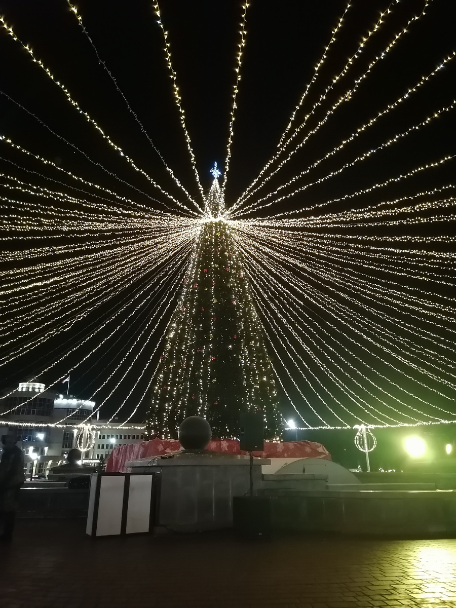 Это главная елка