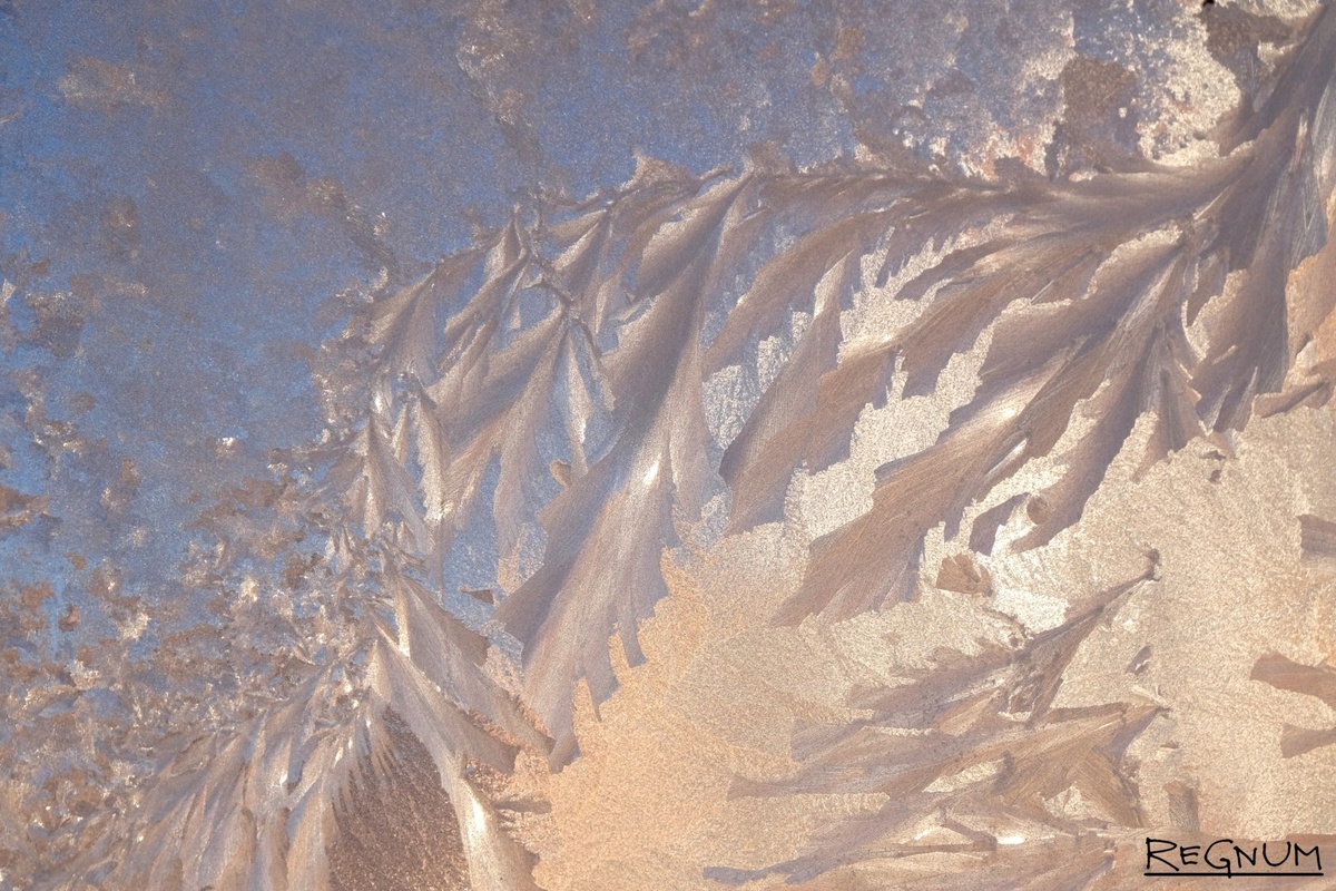    Мороз / Источник: Наталья Стрельцова © ИА REGNUM