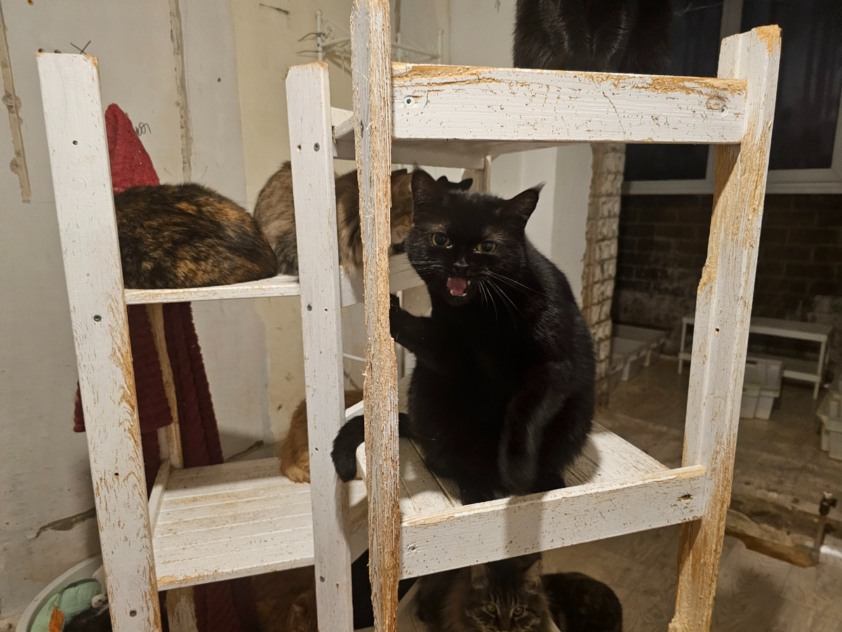 Фото автора. Миля.