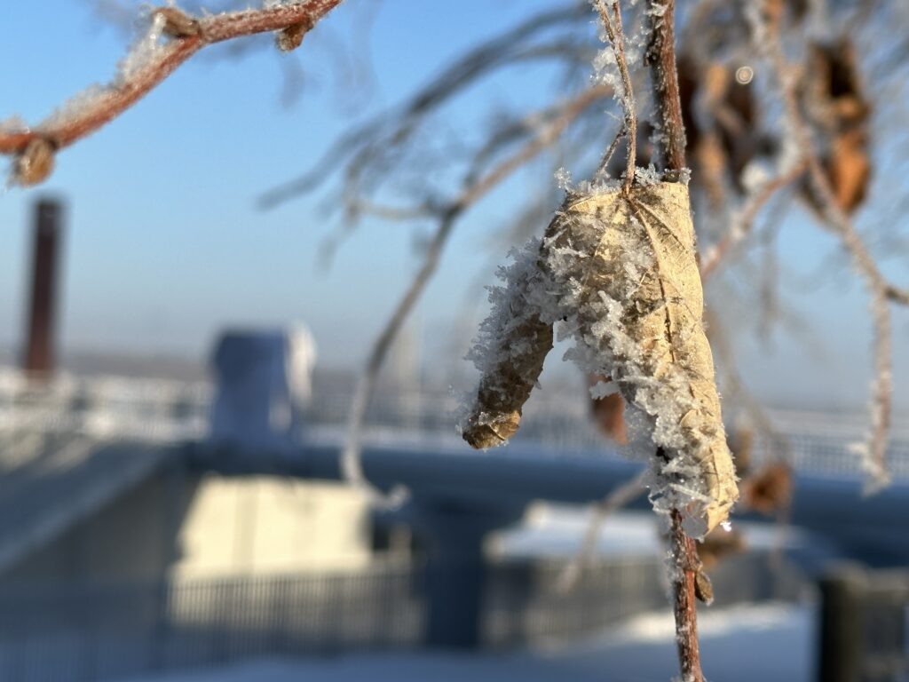    Фото: v-kurse.ru Ульяна Бажанова