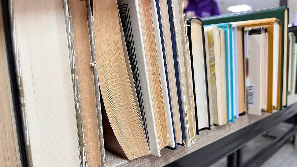    Фото: телеканал «Краснодар»