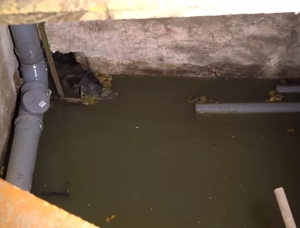    Дом затопило нечистотами в Бийске. Источник: "Бийское телевидение"