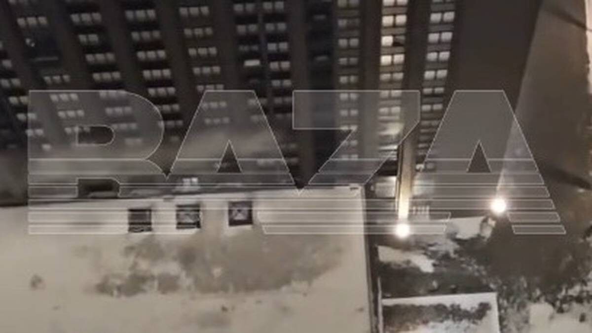    Фото: Telegram / Baza