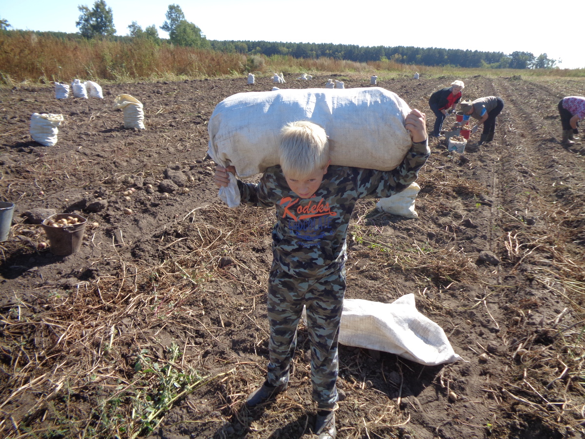 Середина десятых годов. Старший внук, на уборке картошки в деревне.