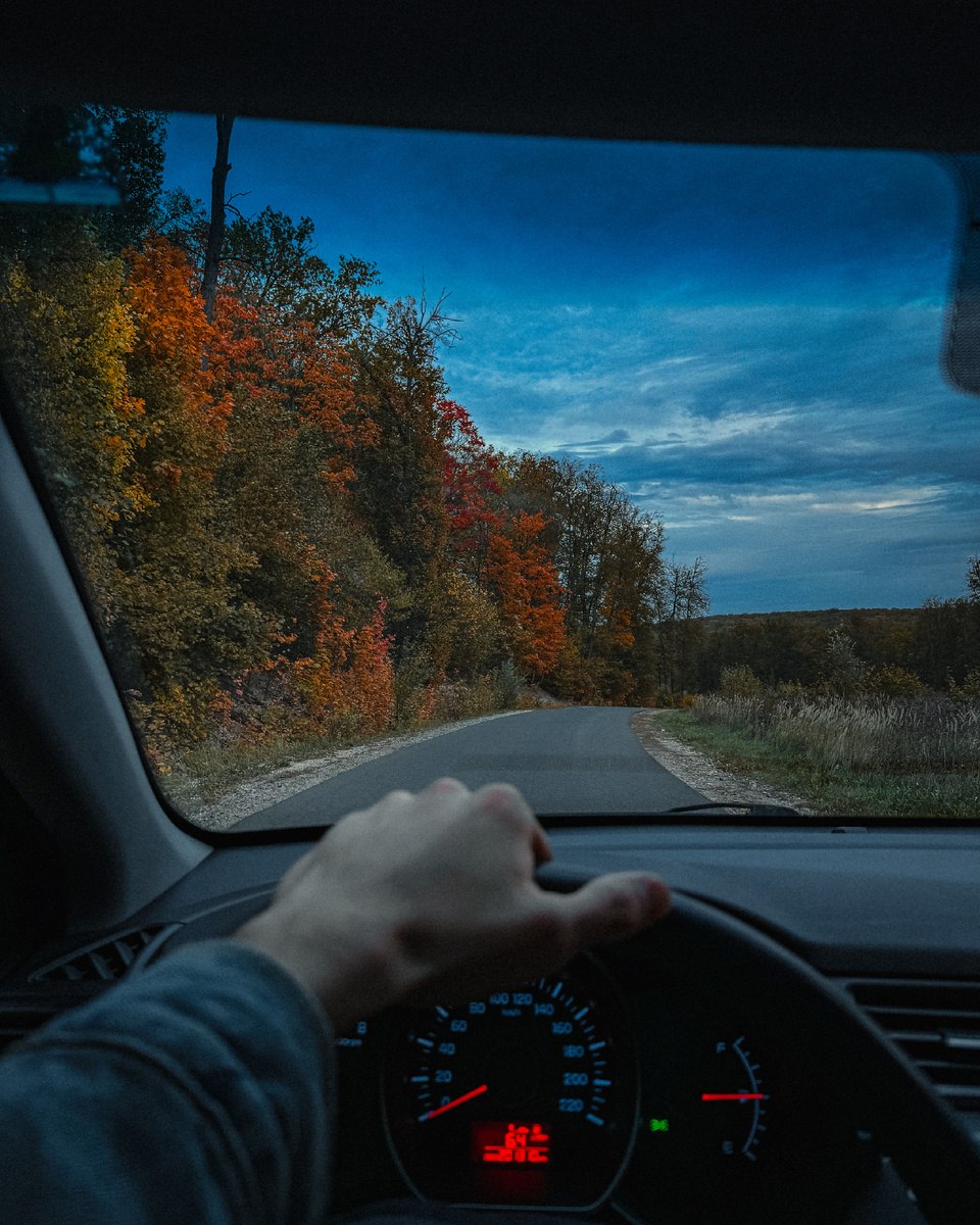 Осенний лес в предвкушении путешествия