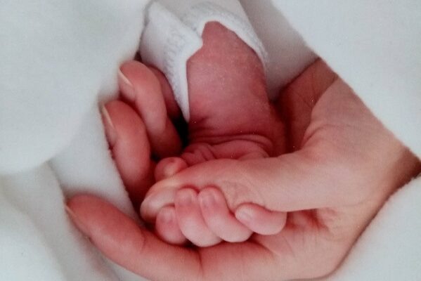    Фото: Pressa40.ru Ярослав Малинин