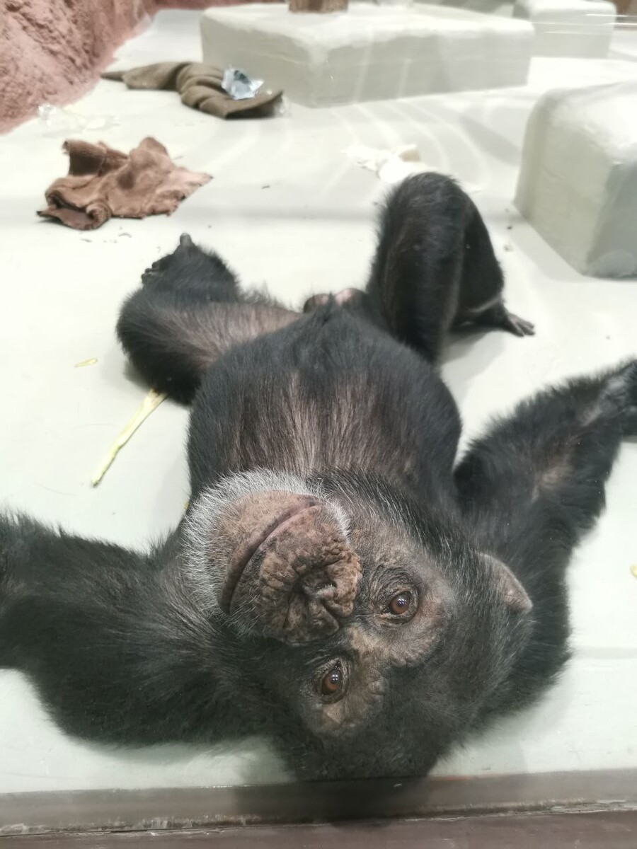 В зоопарке Ижевска