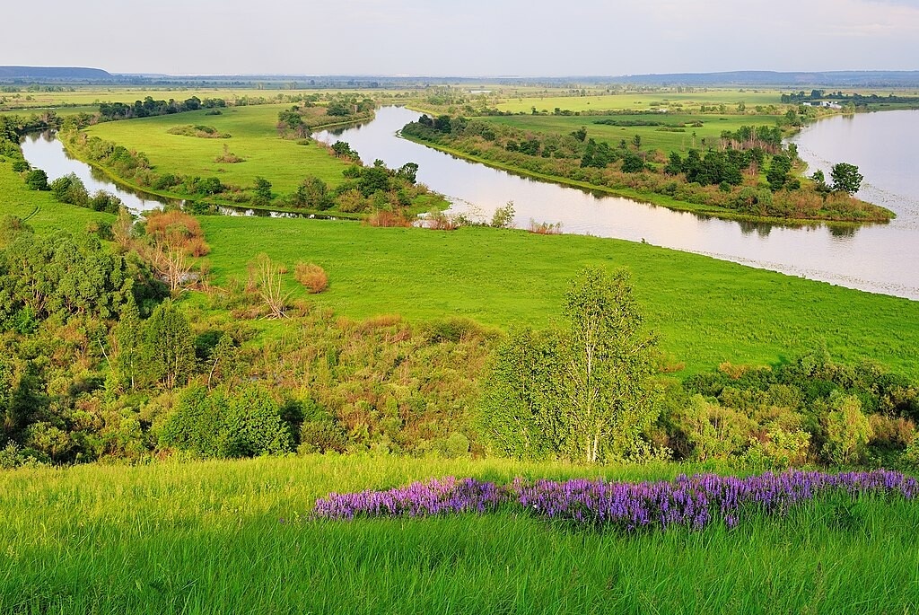 
Танаевские луга. Камско-Криушская пойма
Фото: © Ринур Бекмансуров