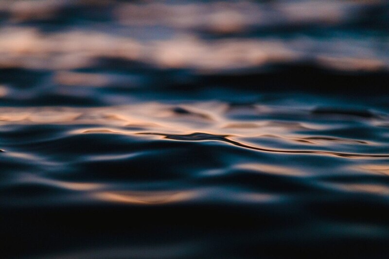    Фото: ninjason1/Freepik