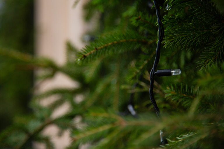    Фото: Общественная Служба Новостей Илья Мартов