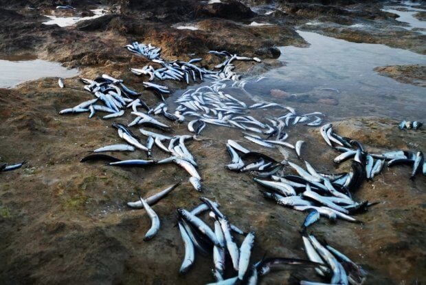    Фото: Юлия Крымова / РГ