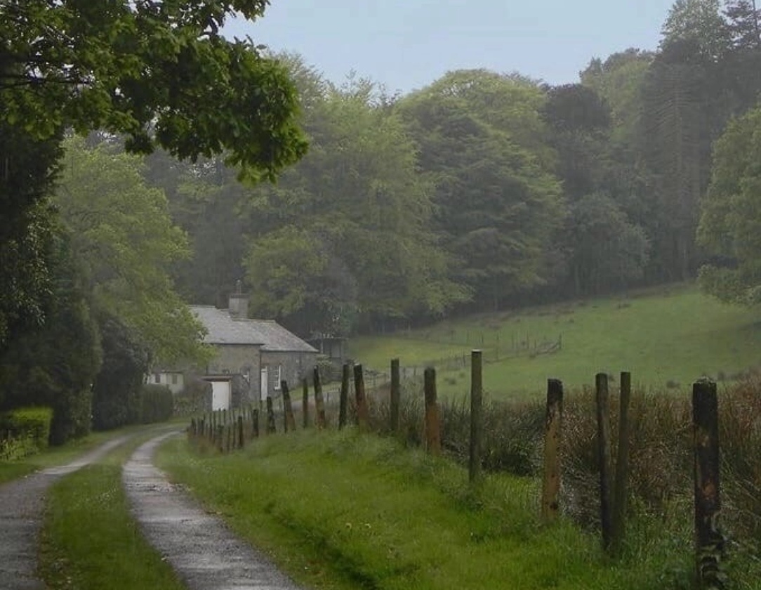 Фото из архива сына