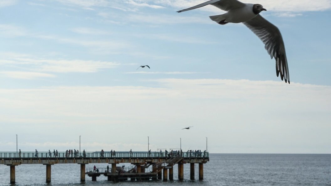    Фото: Petrov Sergey /Globallookpress