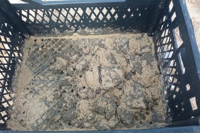    Песок просеивают ящиками из-под фруктов. Фото: Из личного архивa/ Варвара Васильева