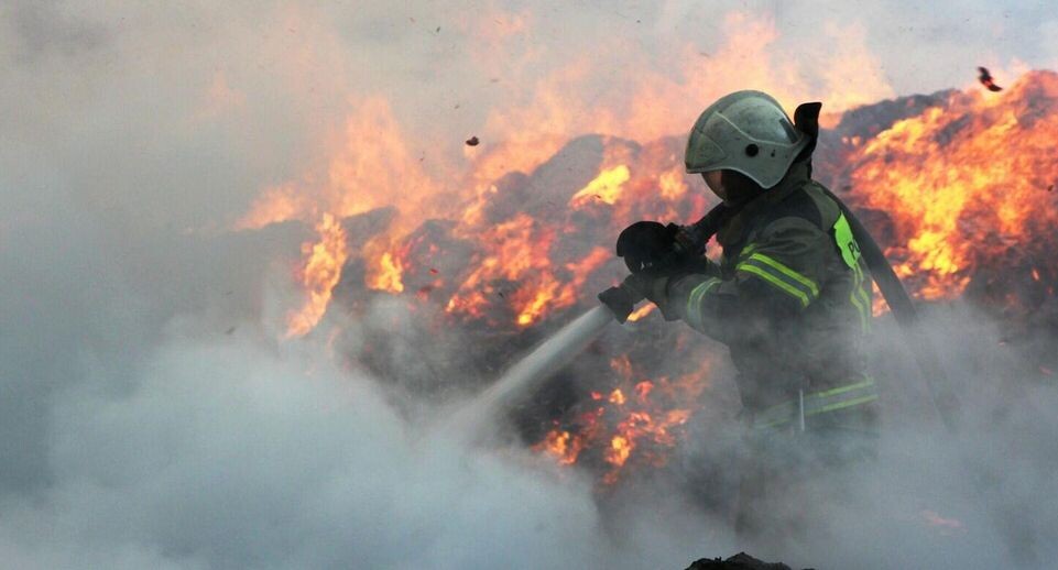    РИА «Новости»