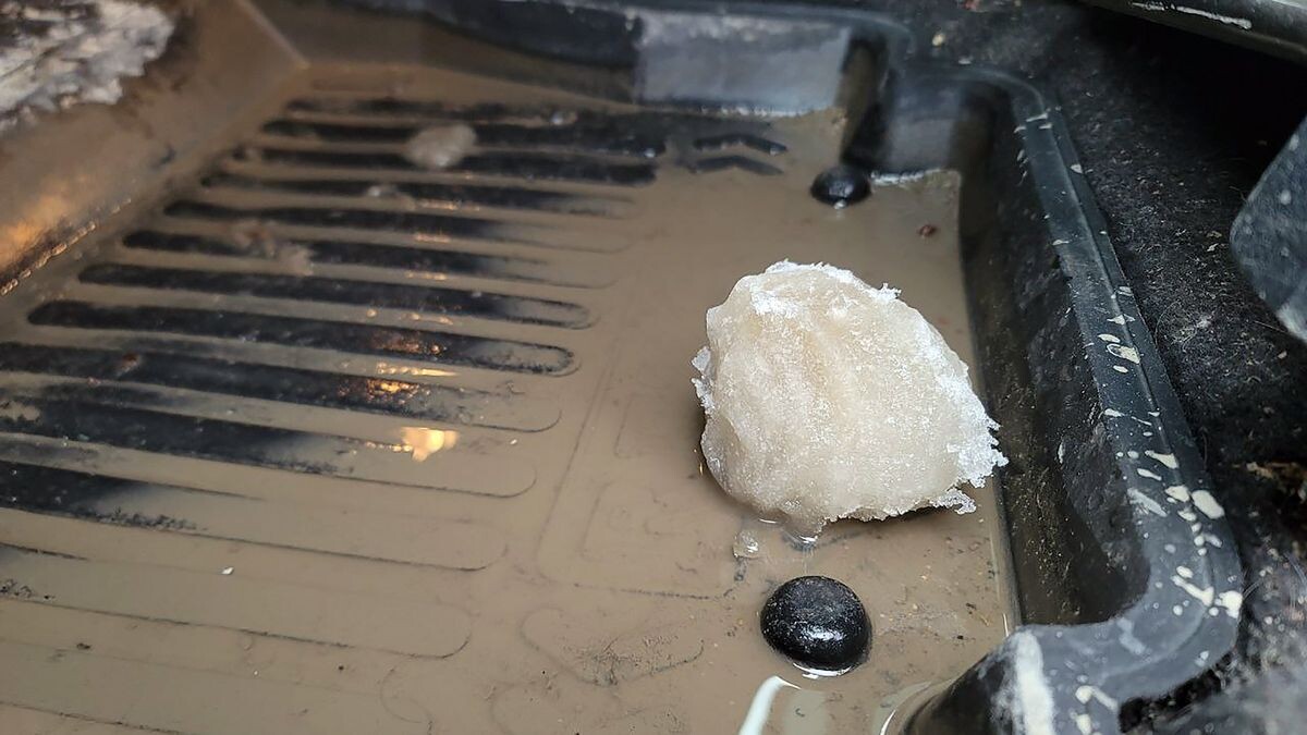    Александр Шаронов, Sport24