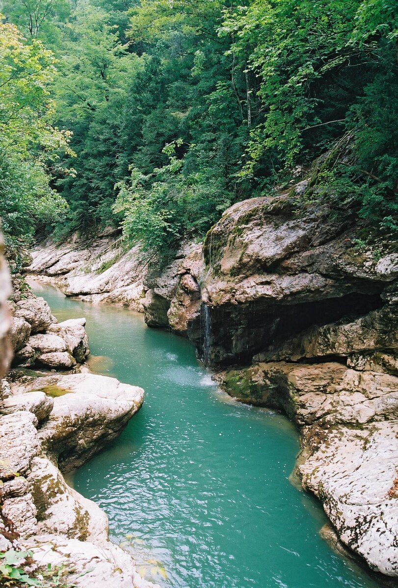 Гуамское ущелье в Сочи. Источник фото: commons.wikimedia.org. Автор: Allahverdi Makhmudo