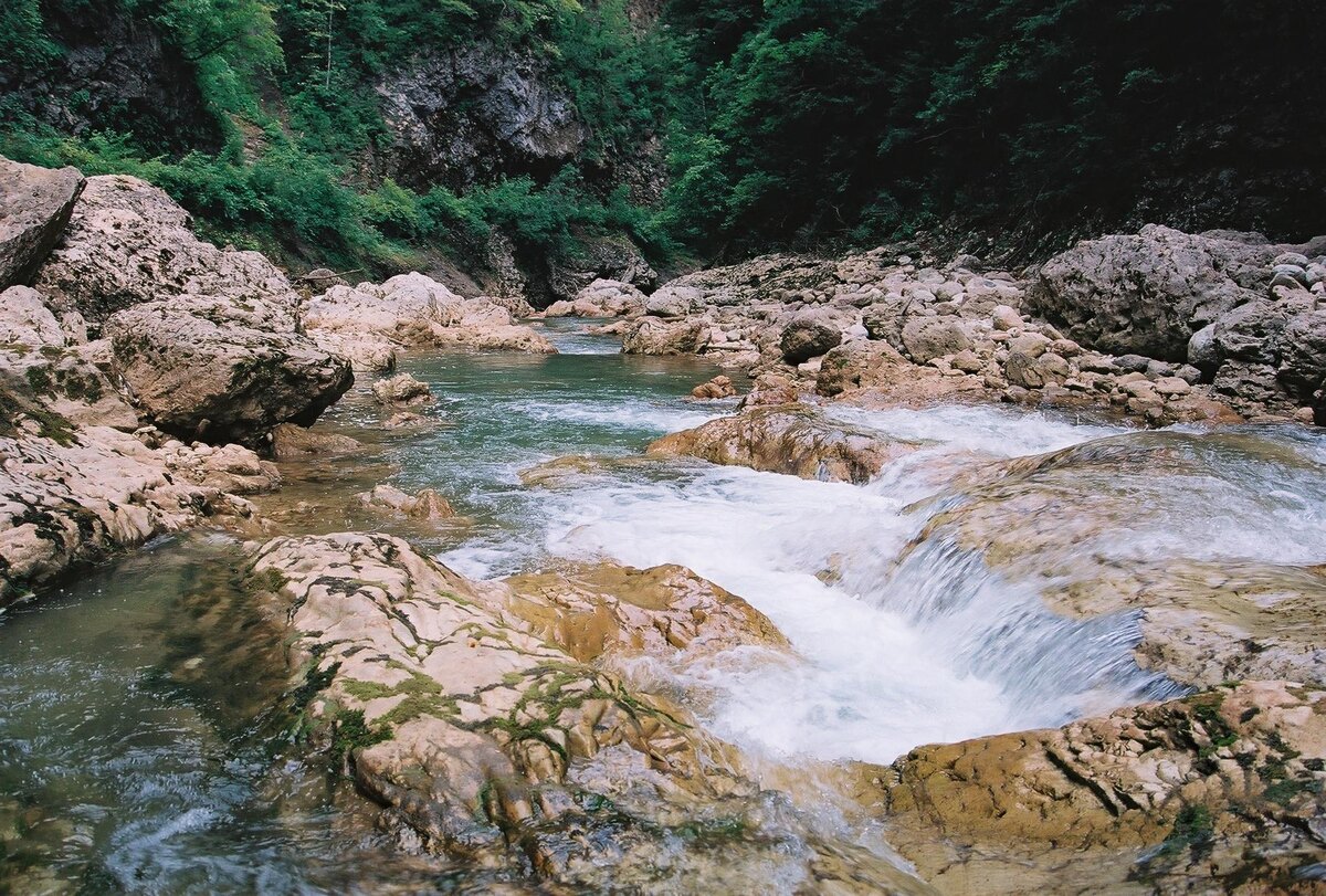 Гуамское ущелье в Сочи. Источник фото: commons.wikimedia.org. Автор: Allahverdi Makhmudo