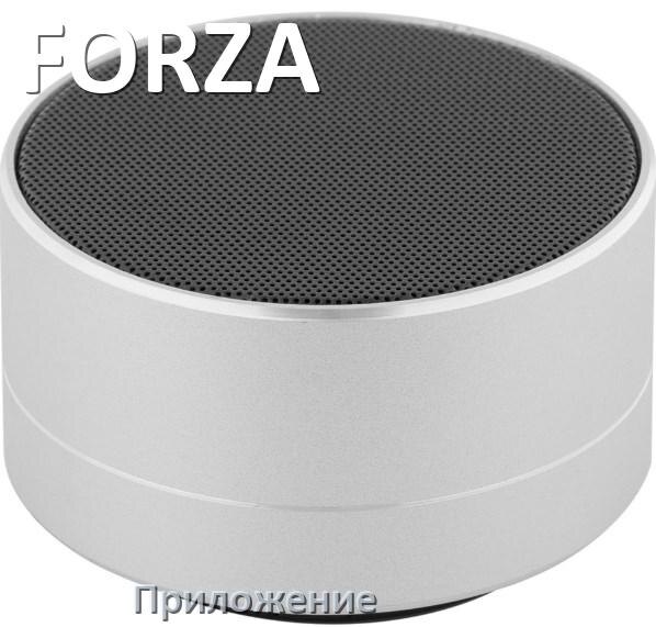 
Приложение для колонки FORZA для настройки, подключения, управления