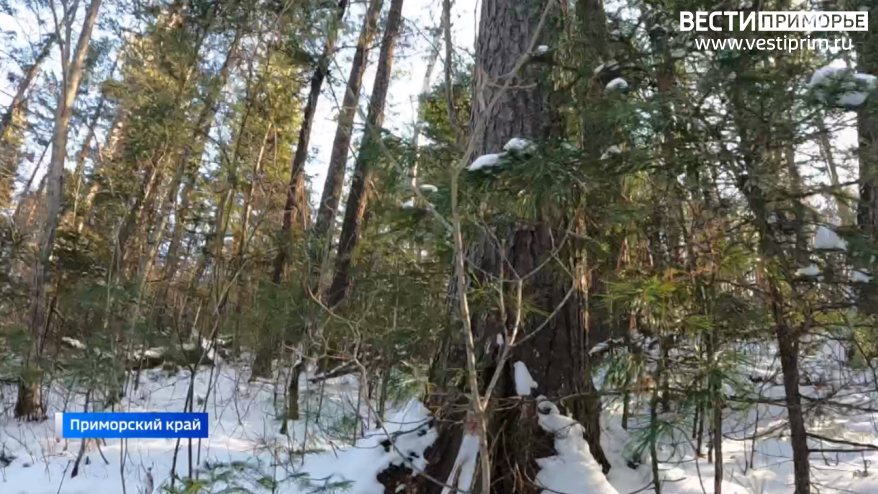    Источник фото: