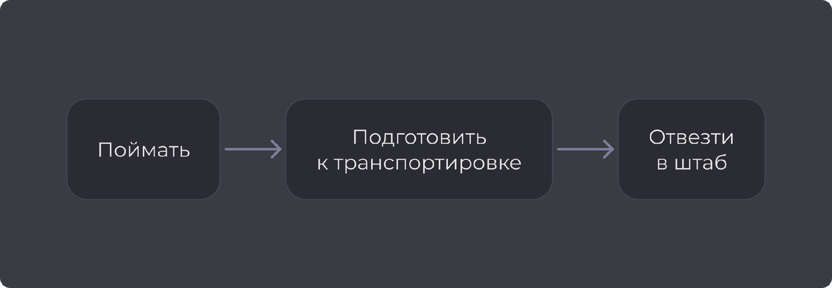 Схема процесса ловли птиц