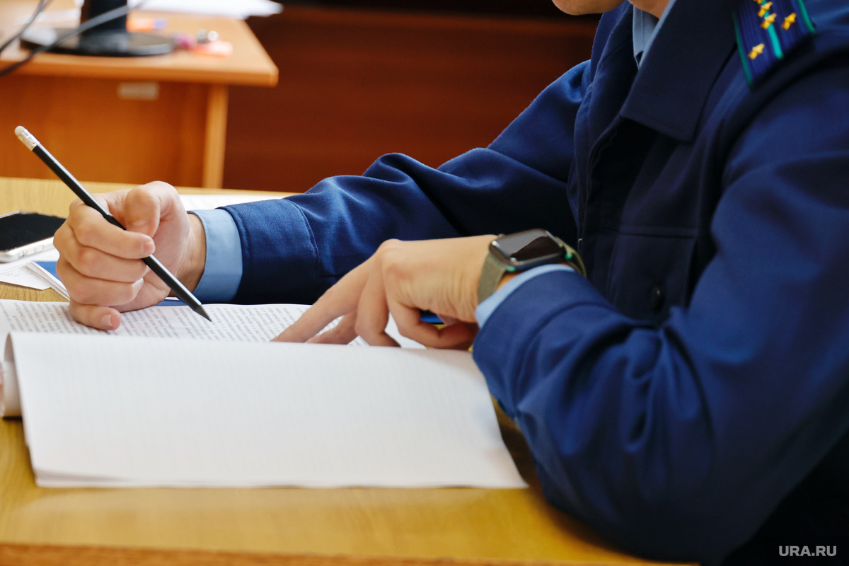 Фото: Екатерина Сычкова © URA.RU