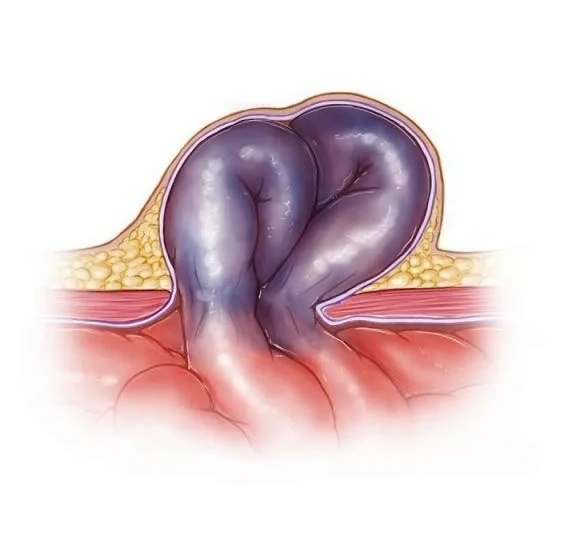 Изображение из свободного доступа