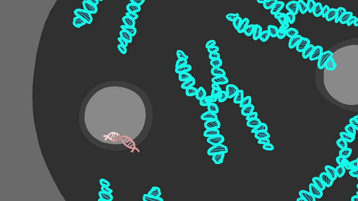 Иллюстрация: cuimc.columbia.edu