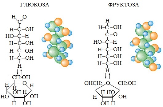 Рис.1 Они как сестры, не понять кто красивее
