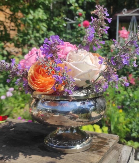 Сочетание роз и котовника