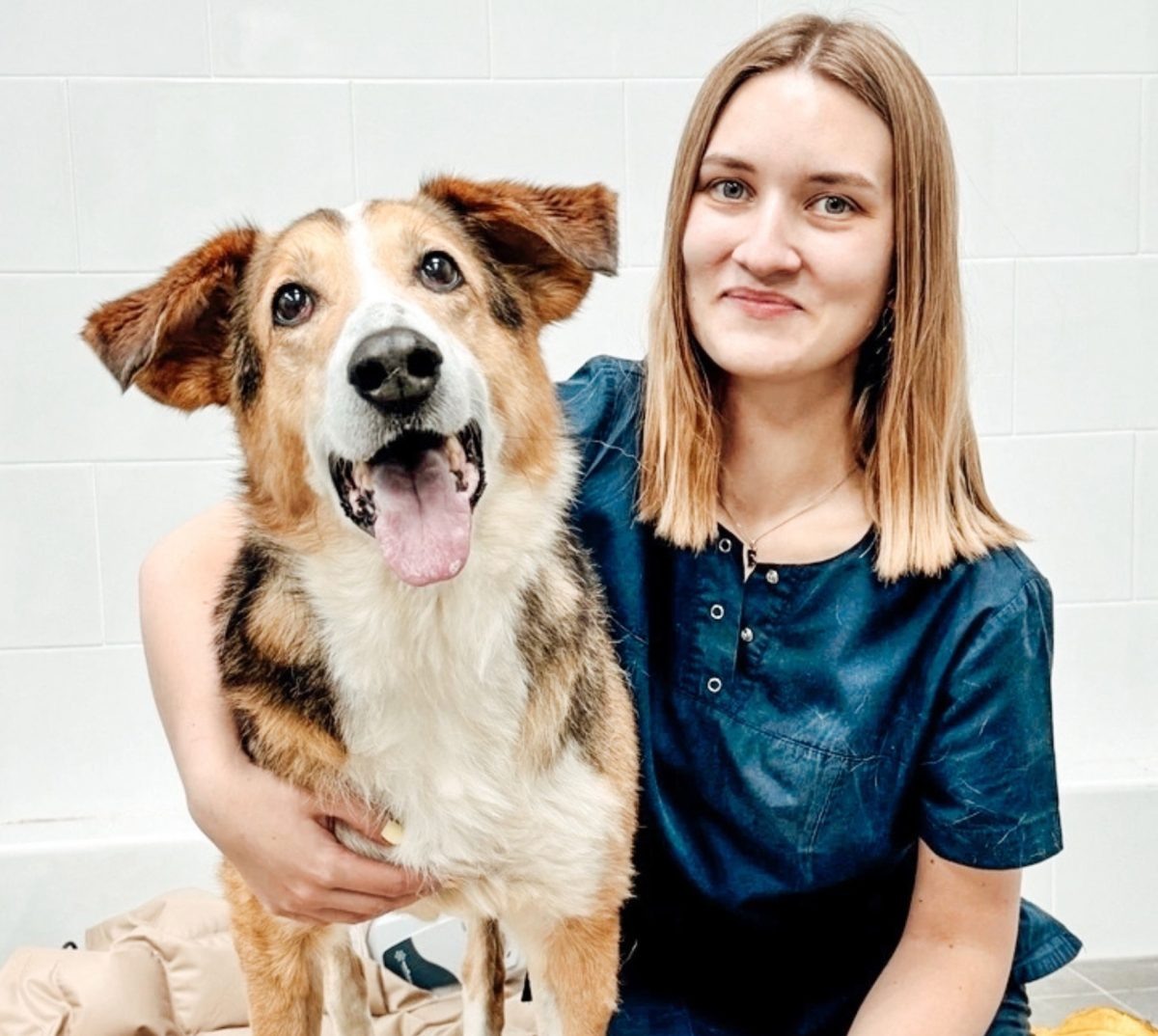    Волонтеры нашли Дружка зимой - пес лежал на дороге