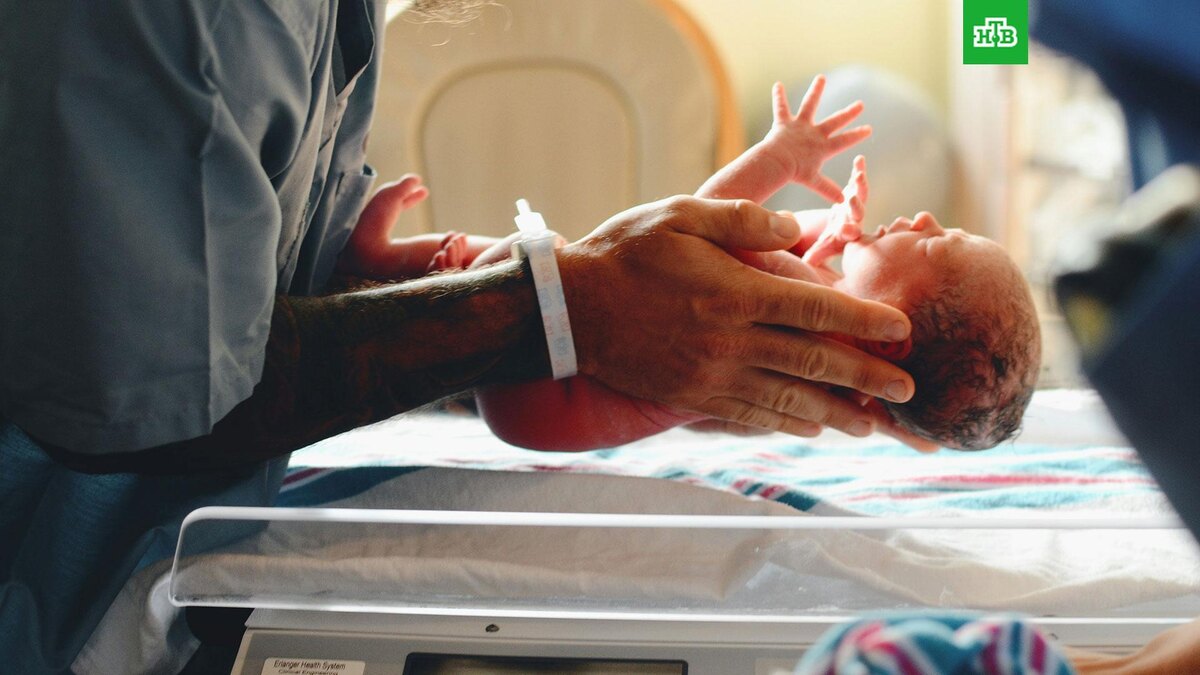    Фото: Christian Bowen / unsplash.com