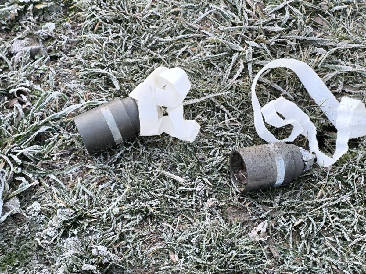 Фото: Telegram-канал Владимира Сальдо