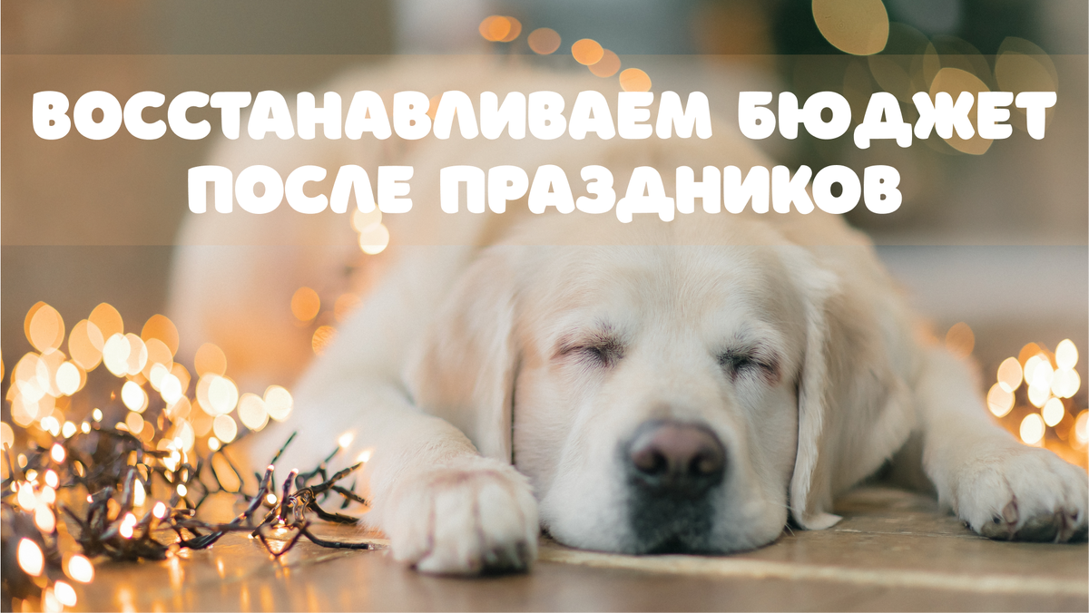 Фото: Shutterstock / Melali